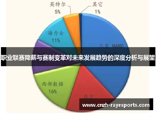 职业联赛降薪与赛制变革对未来发展趋势的深度分析与展望