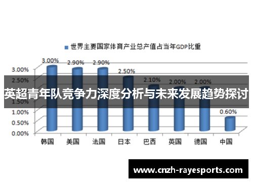 英超青年队竞争力深度分析与未来发展趋势探讨